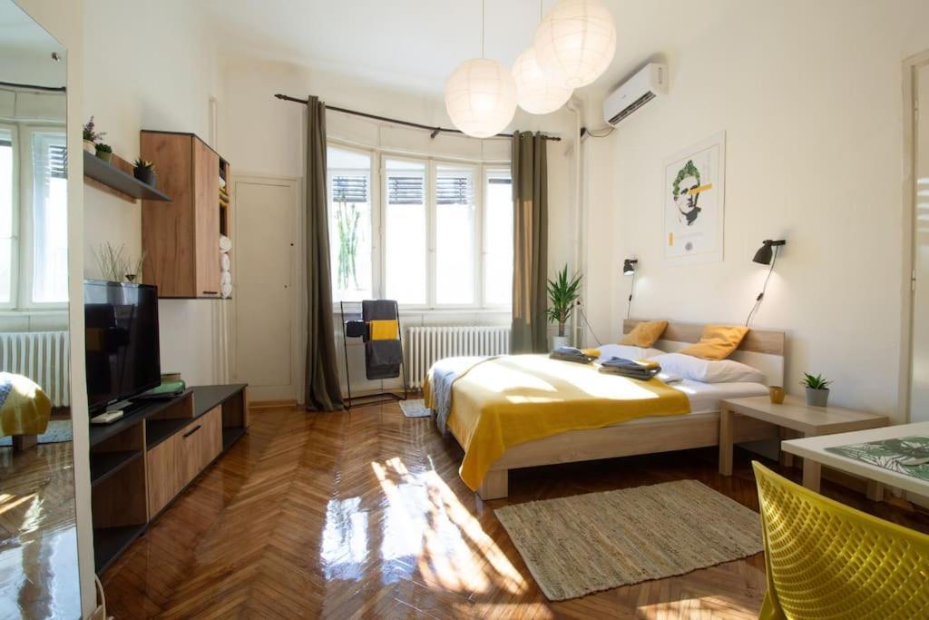 Pavla Papa Studio - Bright & Central Novi Sad Dış mekan fotoğraf