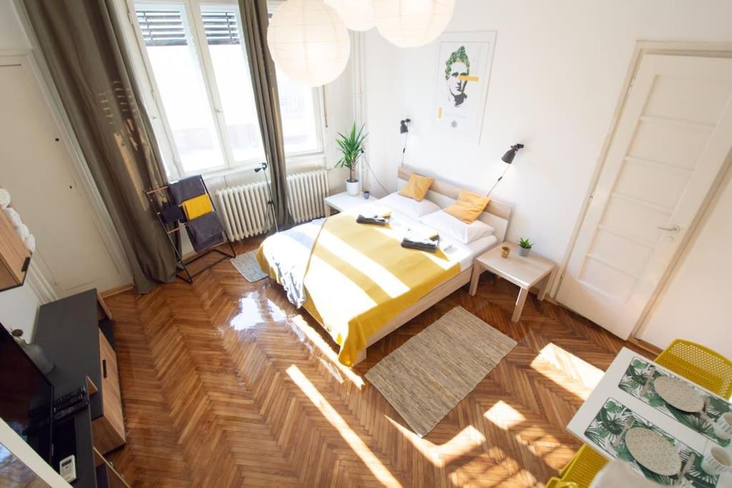 Pavla Papa Studio - Bright & Central Novi Sad Dış mekan fotoğraf