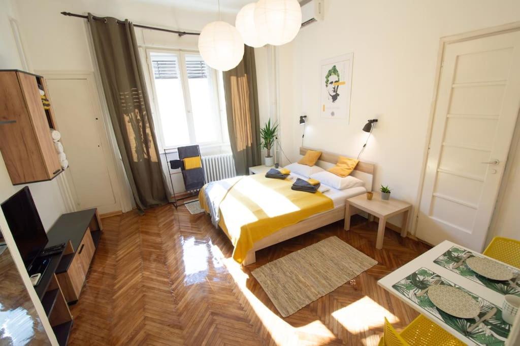 Pavla Papa Studio - Bright & Central Novi Sad Dış mekan fotoğraf